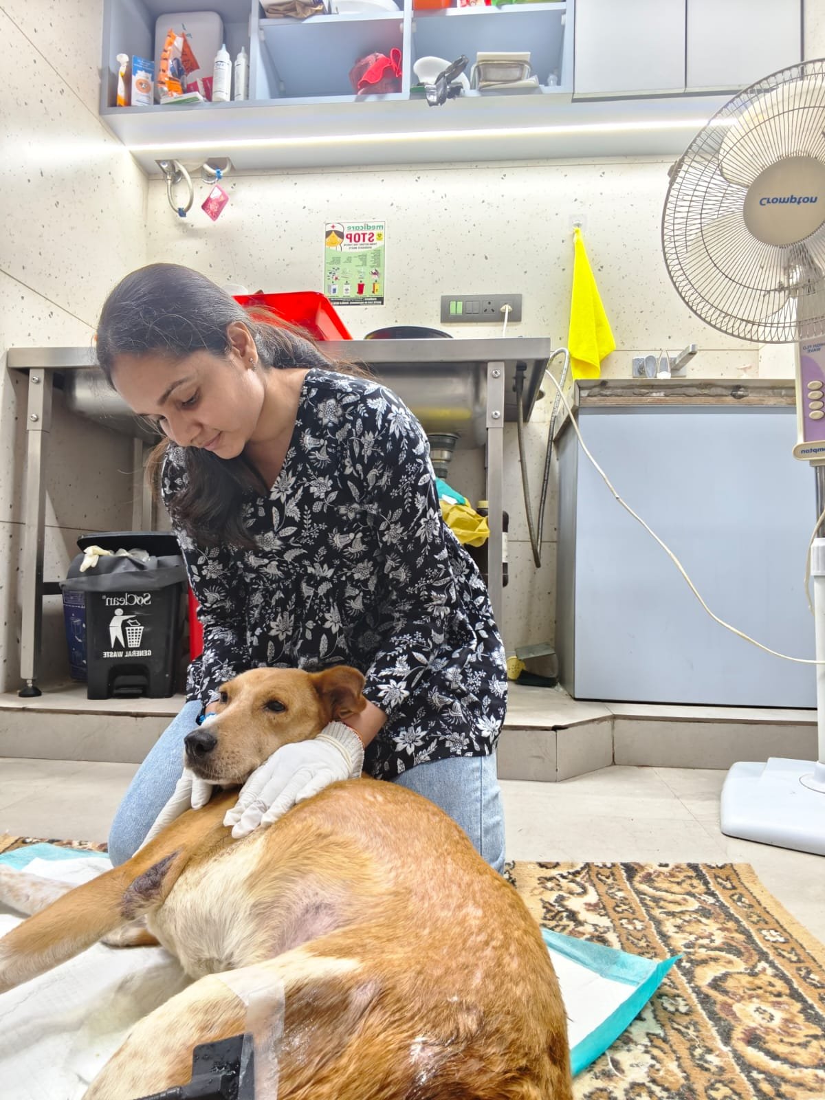 Comforting a dog after treatment