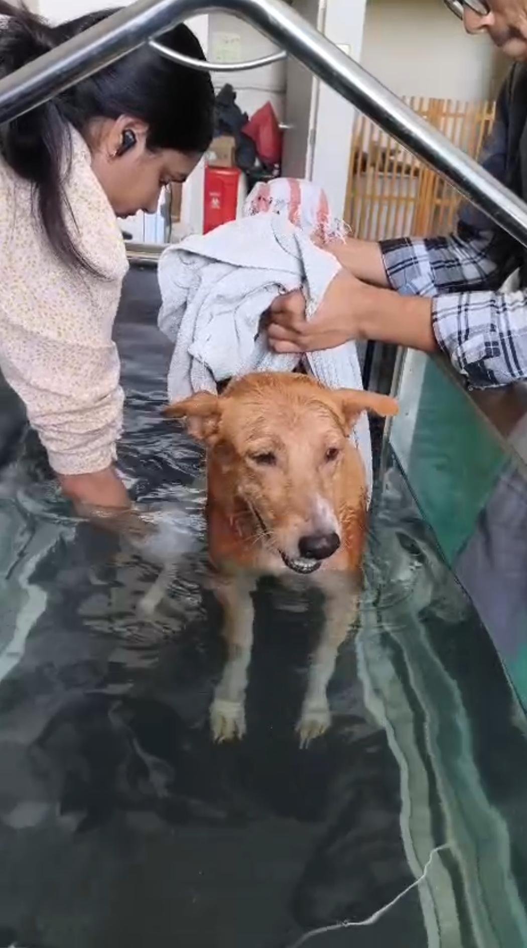 Hydrotherapy session