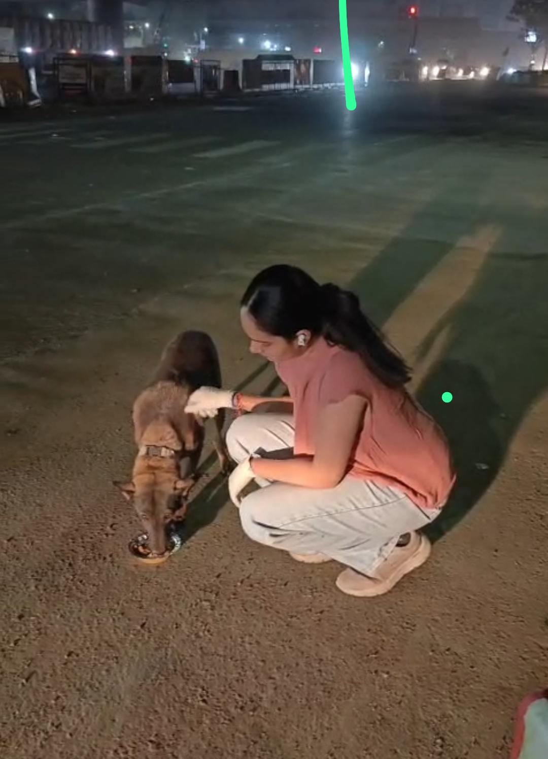 Late-night feeding on the road
