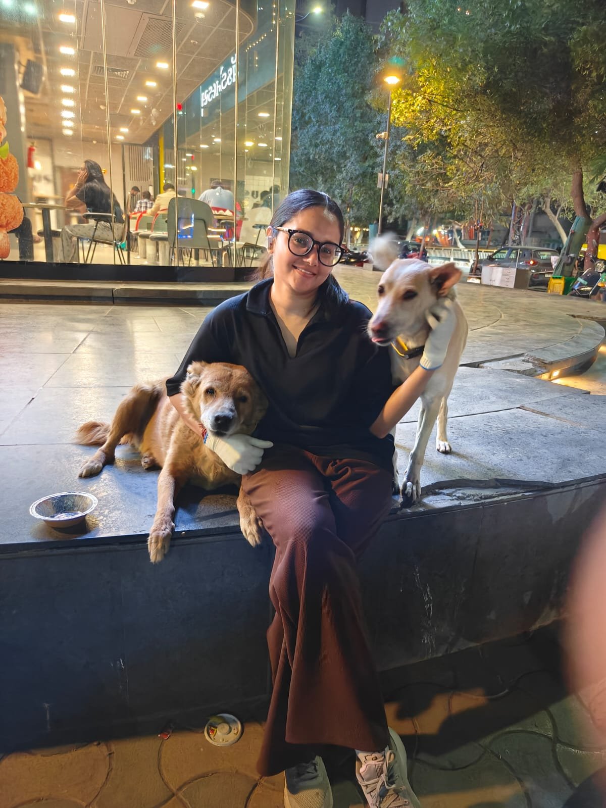 Evening with the street dogs